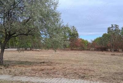Teren intravilan 836 mp , deschidere 24 ml , zona linistita - 1