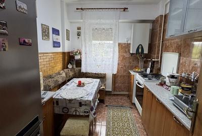 Apartament cu 3 camere decomandat în Sud - 2