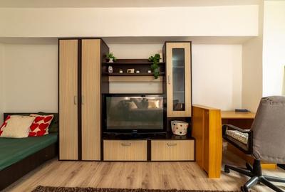 Garsonieră decomandată, mobilată în Trocadero - 3