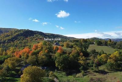 Teren Construcții intravilan de 3500 mp, în Cacica - 13