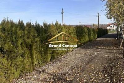 Casă cu 3 camere cu Teren 490 Mp în Ciurea - 2