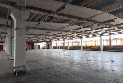 Spațiu comercial, de 15,000 mp, în Huși - 2