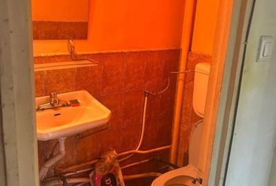 Apartament cu 3 camere în Traian - 12
