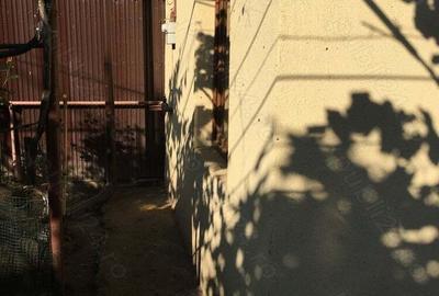 Casa Parc Bazilescu ,Bucurestii noi,pozi?ie excelenta Casa Parc Bazilescu ,Bucurestii noi,pozi?ie excelenta - 2