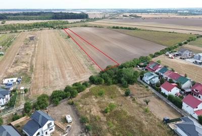 Teren intravilan 1ha Darza ideal pentru case, hala, ferma - 2