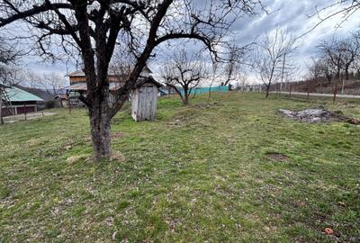 Casă cu 4 camere în Cosminele - 6