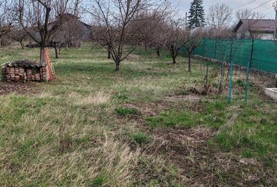 Casă cu Teren 900 Mp în Toporu - 5