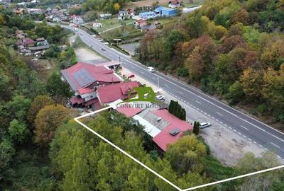 Loca?ie cu poten?ial bar, restaurant ?i cazare pe DN7 Dealul Negru - 9