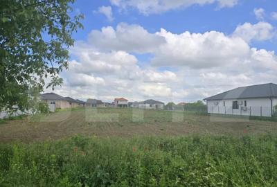 Teren de 3500 mp, în Păulești - 2