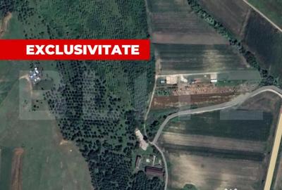 Teren de 5996 mp, în Teiu