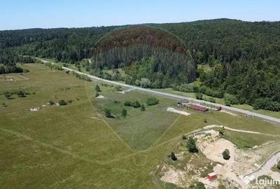 Teren de 5561 mp, în Paltin - 2