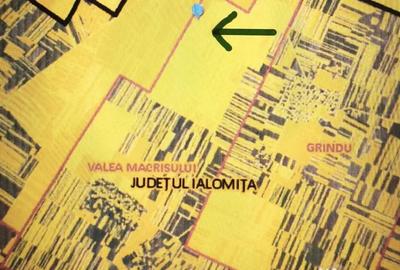 Teren de 10000 mp, în Valea Măcrișului - 1