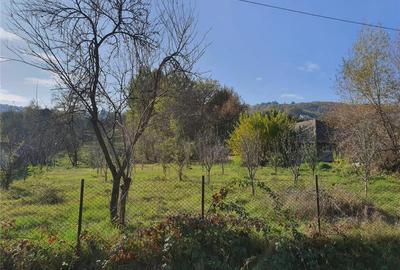 Teren de 2300 mp, în Dragodănești - 3