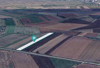 Teren intravilan la stradă principală Remetea Mare - 2