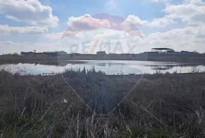 Teren agricol extravilan de 7000 mp, în Frumușani