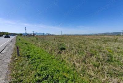 Teren intravilan 8690mp in Orasul Simeria (spre Localitatea Santuhalm) FS 95,41m la Sosea... - 2