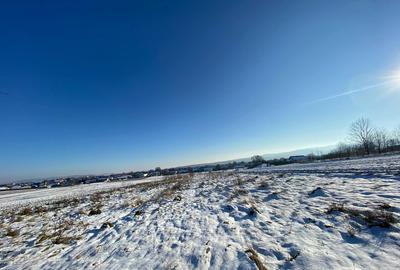 Teren de 4190mp Marginea, Suceava - 1