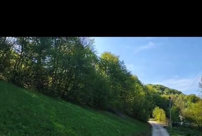 Spațiu comercial, în Valea Inzelului