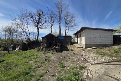 Casă cu Teren 2000 Mp în Miorcani - 6