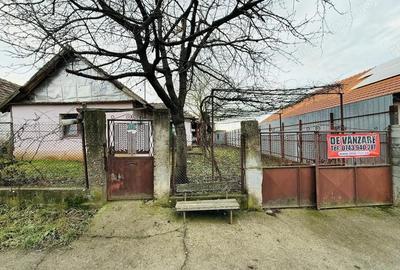 Casă cu 3 camere în Paleu - 7