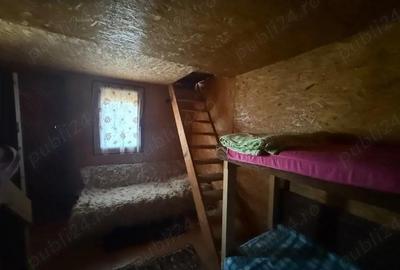 Casă cu 3 camere cu Teren 8000 Mp în Dumbrăvița - 1