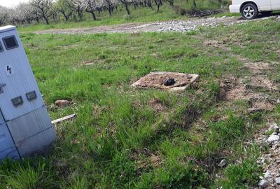 Teren de 1100 mp, în Tăuții-Măgherăuș
