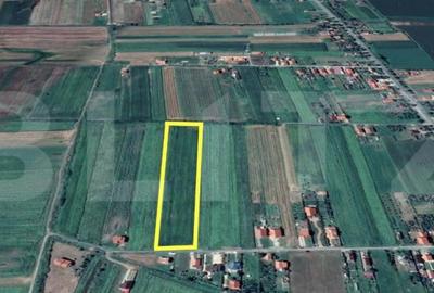 Teren de 11500 mp, în Central