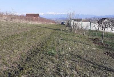 Teren de 550 mp, în Central - 3