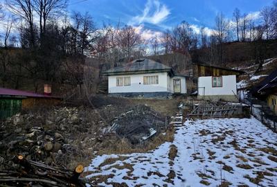 Teren intravilan de 711 mp, în Hangu - 19