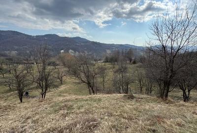 Spațiu comercial, în Malu cu Flori - 5