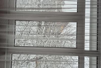 Apartament cu 4 camere decomandat în Banat - 2