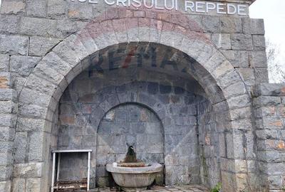 Spațiu comercial, de 2,000 mp, în Izvoru Crișului - 1