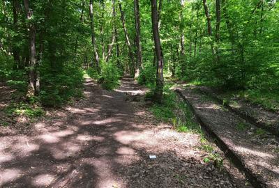 Spațiu comercial, în Făget - 7