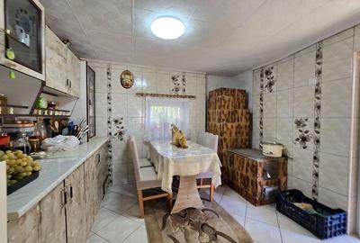 Casa individuala cu teren generos Jilava - Str Garii - 19