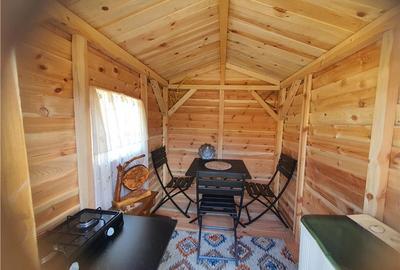 Teren intravilan de 1035 mp, în Râu Sadului - 7