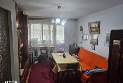 Apartament cu 2 camere în George Enescu - 1