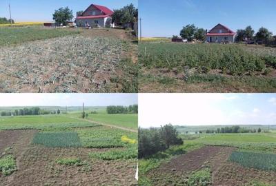 Casă cu 1 camere în Dragalina - 6