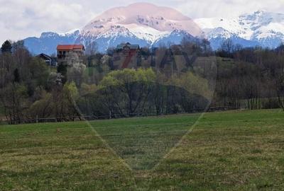 Teren Construcții intravilan de 1404 mp, în Sud-Vest - 1