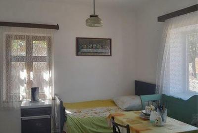 Casă cu 3 camere cu Teren 130 Mp în Tulca - 8