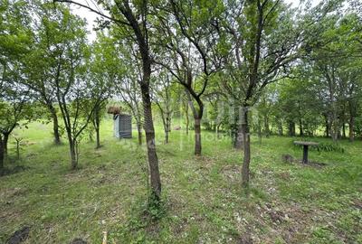 Teren intravilan cu casa renovabila | 2500mp teren | Front 21m | Aiton - 4