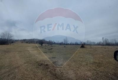Teren de vanzare Comanesti zona Podina - 7