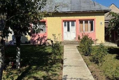 Casă cu 3 camere cu Teren 2000 Mp în Talpa - 1