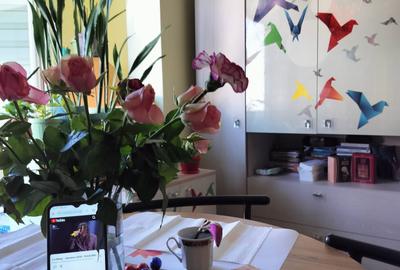 Garsonieră decomandată în Freidorf - 3