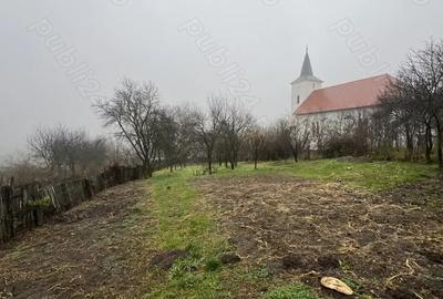 Casă cu 3 camere cu Teren 1114 Mp în Vechea - 10