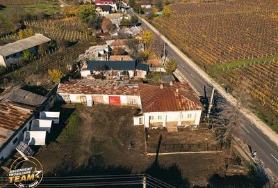 Teren Construcții intravilan de 4000 mp, în Vârteșcoiu - 6