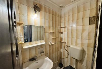 Apartament cu 4 camere decomandat în Valea Rosie - 11