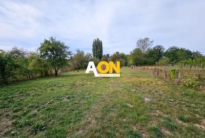 Casa cu 4 camere, 2024 mp teren, la asfalt, cu utilitati, Vintu de Jos - 4