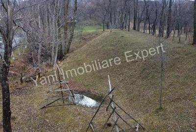 Teren de vanzare in comuna Arefu, jude? Arge?. - 7