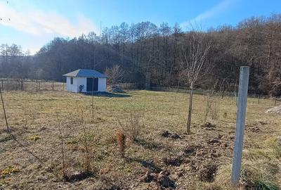 Vand teren cu anexa, Budeasa Mica - 2