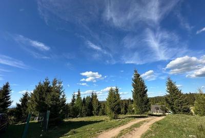 Teren de 2300 mp, în Beliș - 7